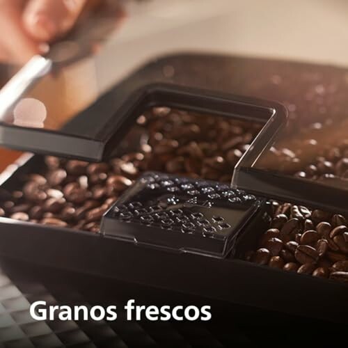 Granos de café en un contenedor.